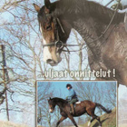 KULKEMATON ONNITTELUKORTTI - PAPRON - pikkukuva 1