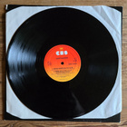 Sleepy Sleepers: Simpeleen Ilotalo 12" MAXI - pikkukuva 2