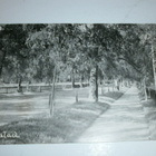 Pietarsaari, Parentesen lehtikuja, vanha mv kortti, p. 1950 - pikkukuva 1