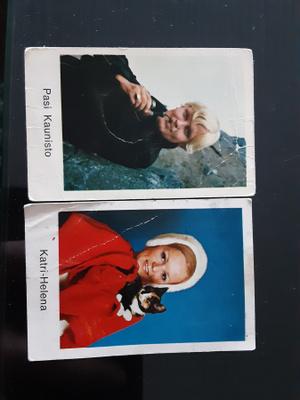 Panda pop 100 värillinen Katri-Helena