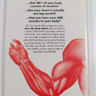 How my body works : the muscles - pikkukuva 2