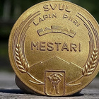 Kullanvärinen merkki Mestari Vaakunnalla. Halkaisija - 25 mm - pikkukuva 4