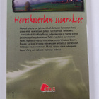 Lauren Brooke : Hevoshoitolan sisarukset 12 : Ennemmin ta... - pikkukuva 2