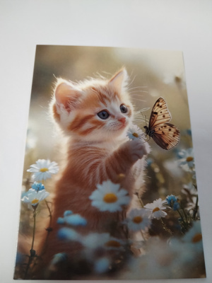 Kissa kortti, kulkematon, vaikka kehyksiin tauluksi.