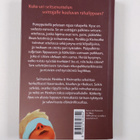 Kalle Veirto : Etsivätoimisto Henkka & Kivimutka ja kätke... - pikkukuva 2