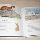 Maia Raitanen Happamia, sanoi kettu - pikkukuva 4