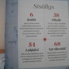100 ideaa Jouluun 84 sivua - Joulu sisustus - pikkukuva 2