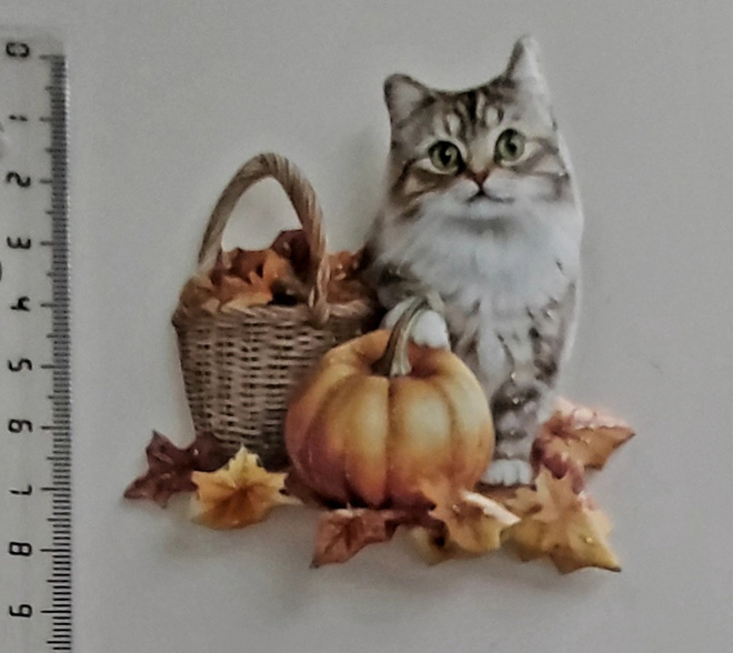 3D-KORTTIKUVA "Kissa, kurpitsa ja syksyn lehtiä"