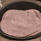 Koiran muovipeti - pikkukuva 2