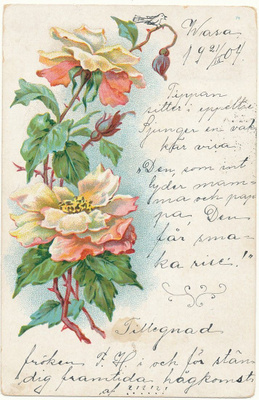Kukkakortti - kulk. 1904