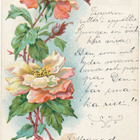 Kukkakortti - kulk. 1904 - pikkukuva 1