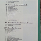 KOTI KUKKII - ILOA HUONEKASVEISTA YMPÄRI VUODEN - pikkukuva 2