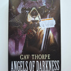 Thorpe, Gav: Warhammer 40,000: Angels of Darkness - pikkukuva 1