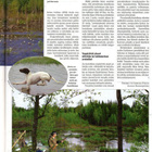 Metsästäjä n:o 5 2004 Perustetut kosteikot metsästyskäytössä - pikkukuva 3
