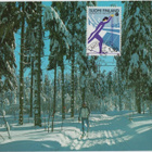 erikoisleima ** Paikkakunta - erilaisia maksimikortteja - pikkukuva 2