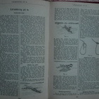 Almanack för alla 1909 m. bl.a. statistik - pikkukuva 4