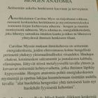 Caroline Myss: Hengen anatomia - pikkukuva 3