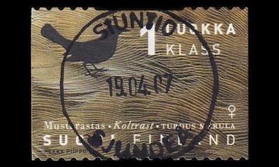 1409 o Mustarastas loisto Siuntio 19.4.07 (1998)