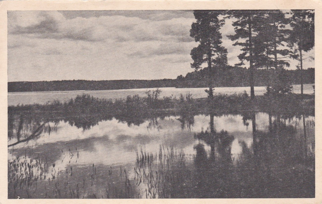 JÄMSÄKOSKI - KOLME KORTTIA - MV