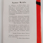 Agnar Mykle : Enkeli ja aamurusko - pikkukuva 2