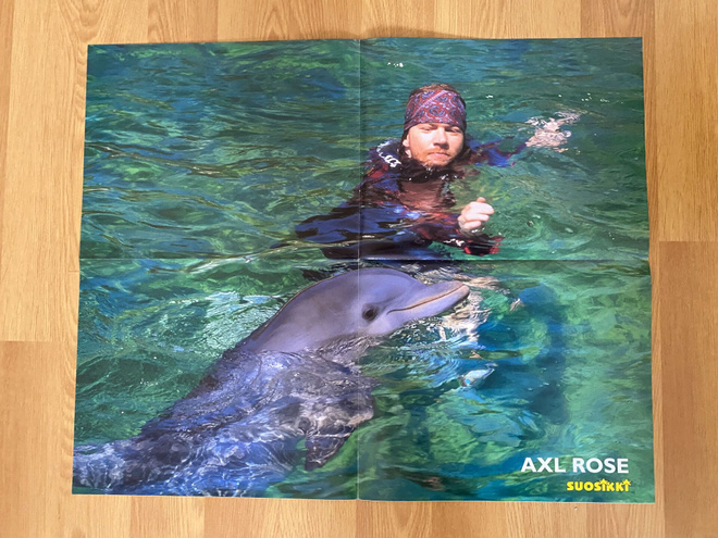 Axl Rose juliste ja GNR juliste 