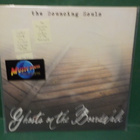 THE BOUNCING SOULS - GHOSTS N THE BOARDWALK EX/M- LP - pikkukuva 1