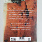 Tuula-Liina Varis : Huvila - pikkukuva 2