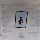 Tina Turner LP - pikkukuva 5
