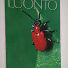 Suomen luonto 6/2003 - pikkukuva 1