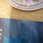 SKINNY PUPPY - Remission & Bites CD - pikkukuva 2