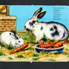 ALE - EAS 3115 - Nelkku - Kani ja lapsi - pikkukuva 1