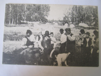 VANHA Postikortti Itä Uusimaa Loviisa 1900-l