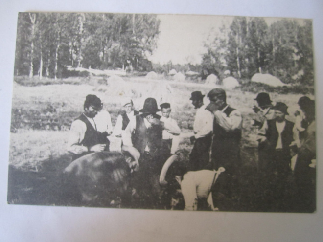 VANHA Postikortti Itä Uusimaa Loviisa 1900-l