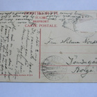 Helsinki Kaisaniemi (o) - 1909 - pikkukuva 2