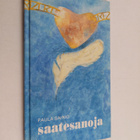 Paula Sainio : Saatesanoja - pikkukuva 1