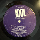 Billy Idol - Charmed life LP ORIG. -90 - pikkukuva 3