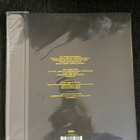 JUHA TAPIO - Elävien maassa 2-LP (Bonusbiisejä) - pikkukuva 2