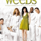 Weeds - Kausi 3 - (3 DVD) - pikkukuva 1