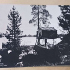 Inari, Lapin aitta, vanha mv vkpk SMY 613, ei p. - pikkukuva 1