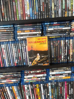 Walkabout (2000) Jenny Agutter