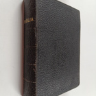 Biblia eli Pyhä Raamattu : vanha ja uusi testamentti (1911) - pikkukuva 1