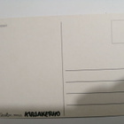 Dalmatialaispennut - pikkukuva 2