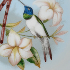 TAIDE- SEINÄLAUTANEN posliinia, Fürstenberg, Kolibri linnut - pikkukuva 3