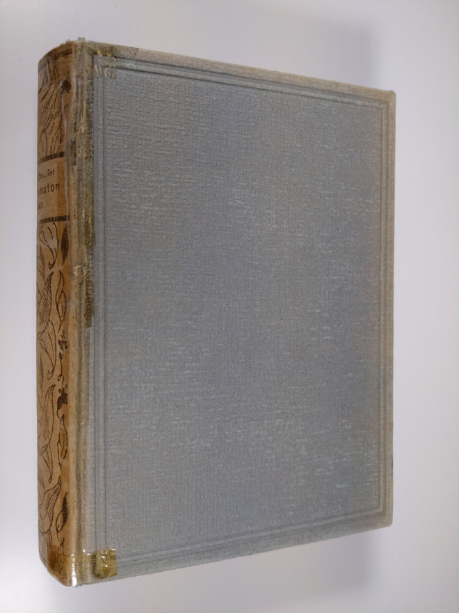 Elizabeth Pickett Chevalier : Lannistumaton nainen