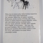 H. M. Denneborg : Jan ja villihevonen - pikkukuva 2