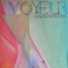 David Sanborn - Voyeur - pikkukuva 1