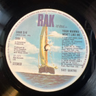 Suzi Quatro - Your Mamma Won’t Like Me lp - pikkukuva 3