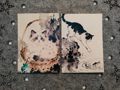 ~Kissa kortti~ 2kpl