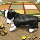 Dogz (PC) (UUSI) ALE! -40% - pikkukuva 5