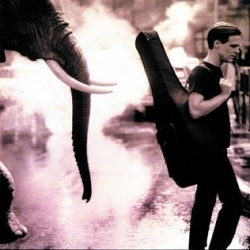 Bryan Adams - On A Day Like Today (CD)